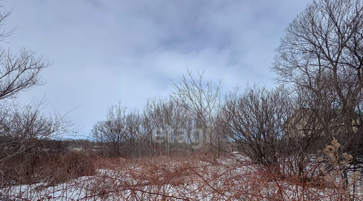 земля г Хабаровск р-н Краснофлотский ул Тополиная фото 4