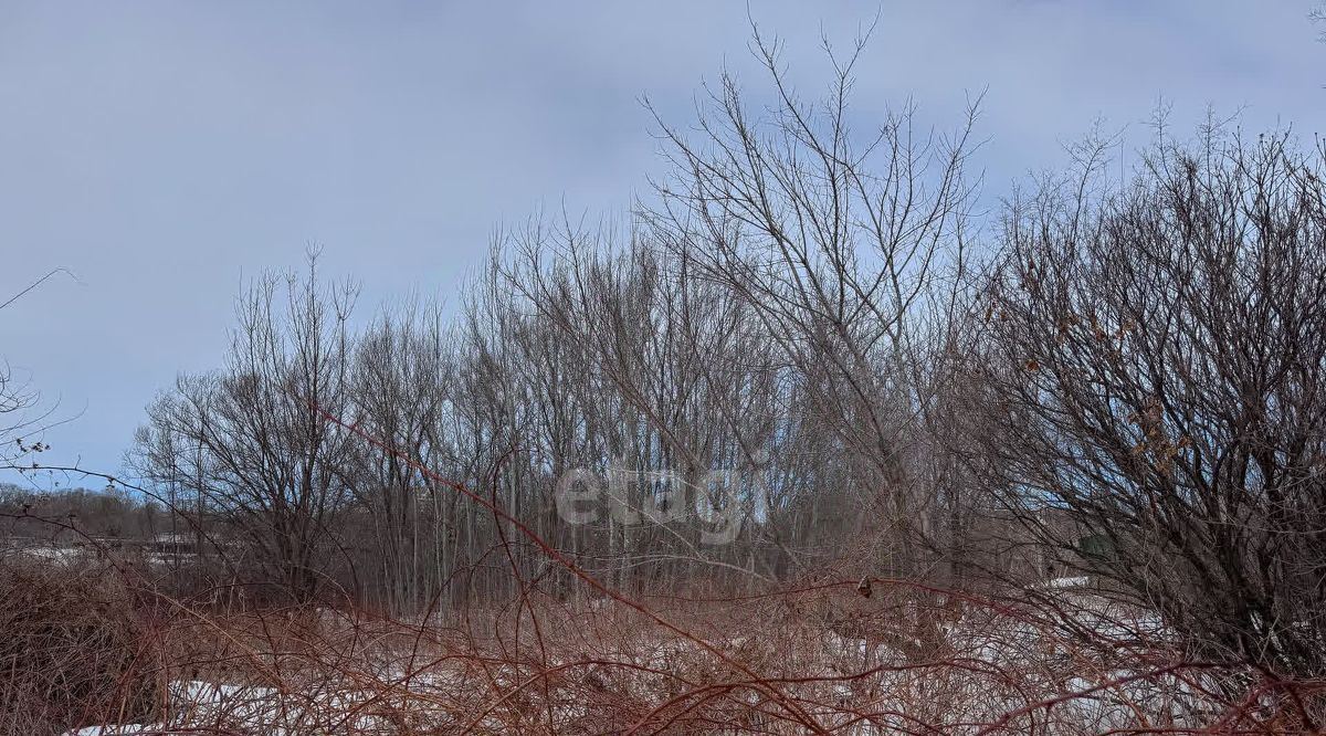 земля г Хабаровск р-н Краснофлотский ул Тополиная фото 2