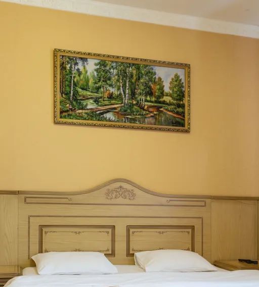 комната г Карачаевск кп Домбай ул Аланская 25 фото 21