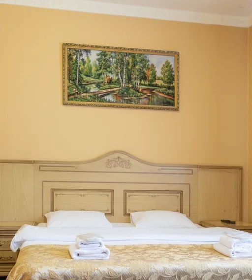 комната г Карачаевск кп Домбай ул Аланская 25 фото 28