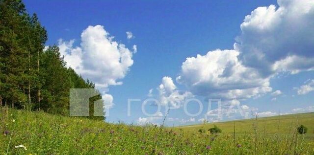 кв-л 6 Мошковский район, Светлый мкр фото