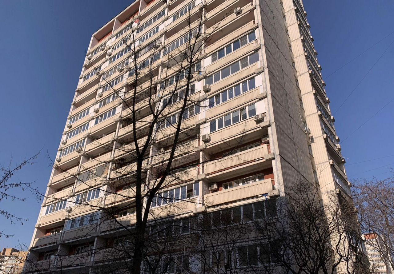 квартира г Москва метро Кузьминки пр-кт Волгоградский 111к/2 фото 15