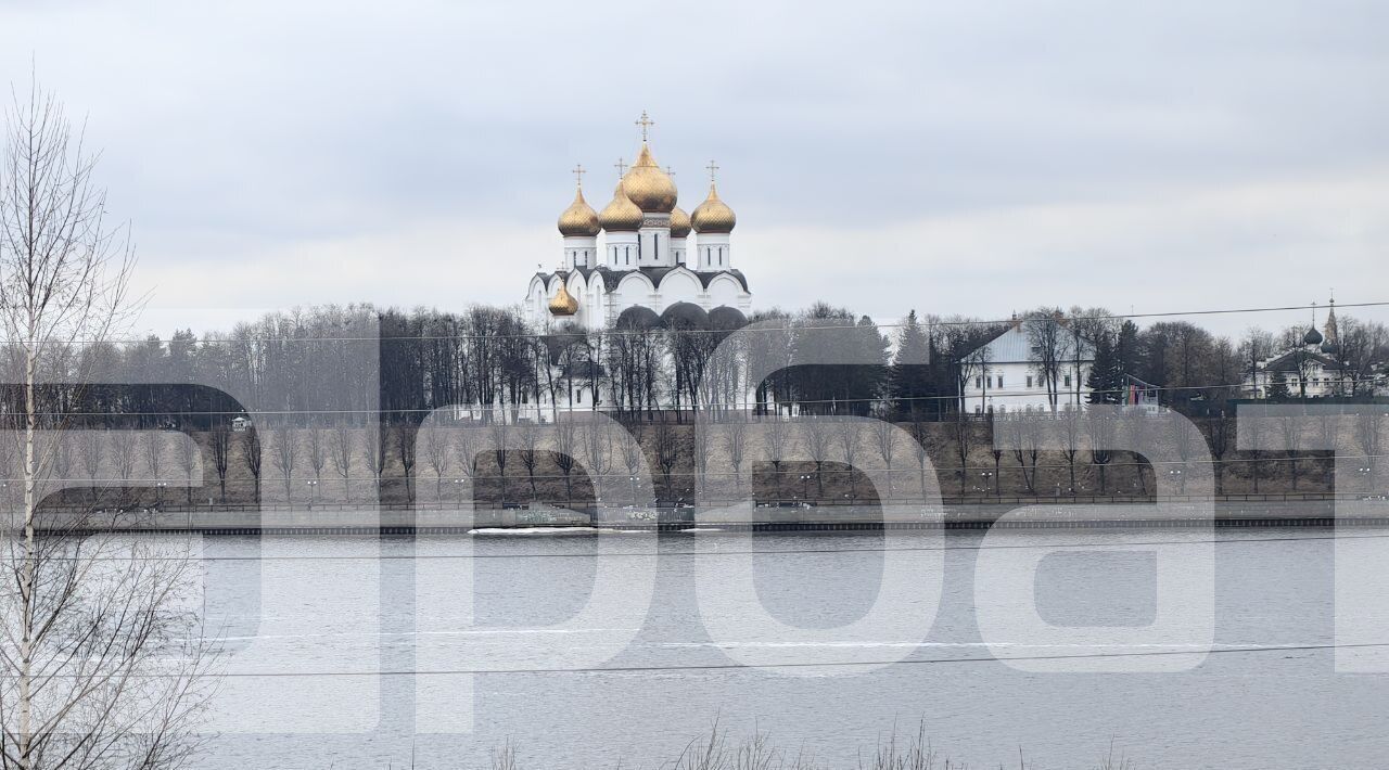 квартира г Ярославль р-н Заволжский наб Тверицкая 64 фото 13