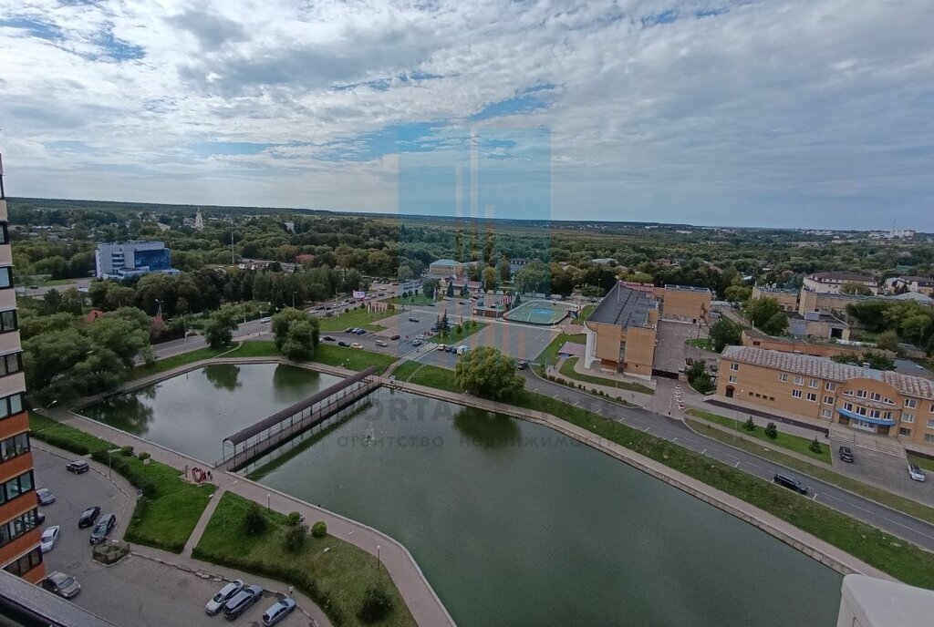 квартира г Чехов улица а, 79к 1, Подольск фото 14