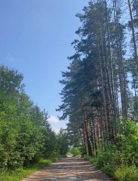 земля г Коломна п Новоселки Ягодное садовое товарищество фото 2