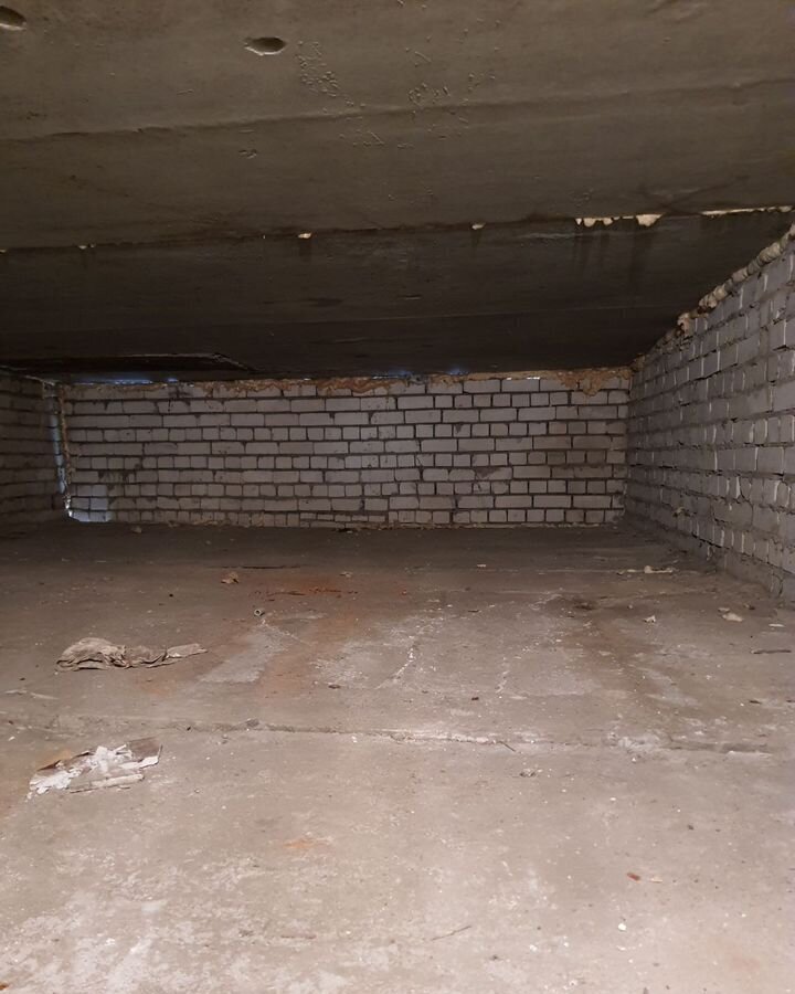 гараж г Нижний Новгород р-н Сормовский Буревестник ул Заводской парк 21а фото 2