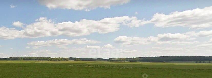 земля г Полевской с Курганово фото 1