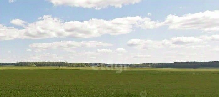 земля г Полевской с Курганово фото 2