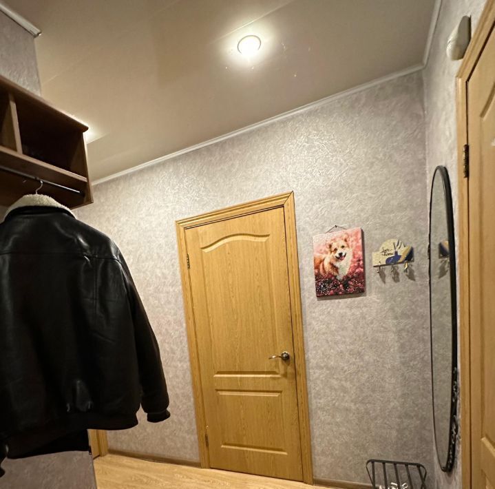квартира г Ивантеевка ул Толмачева 33 Пушкинский городской округ фото 13