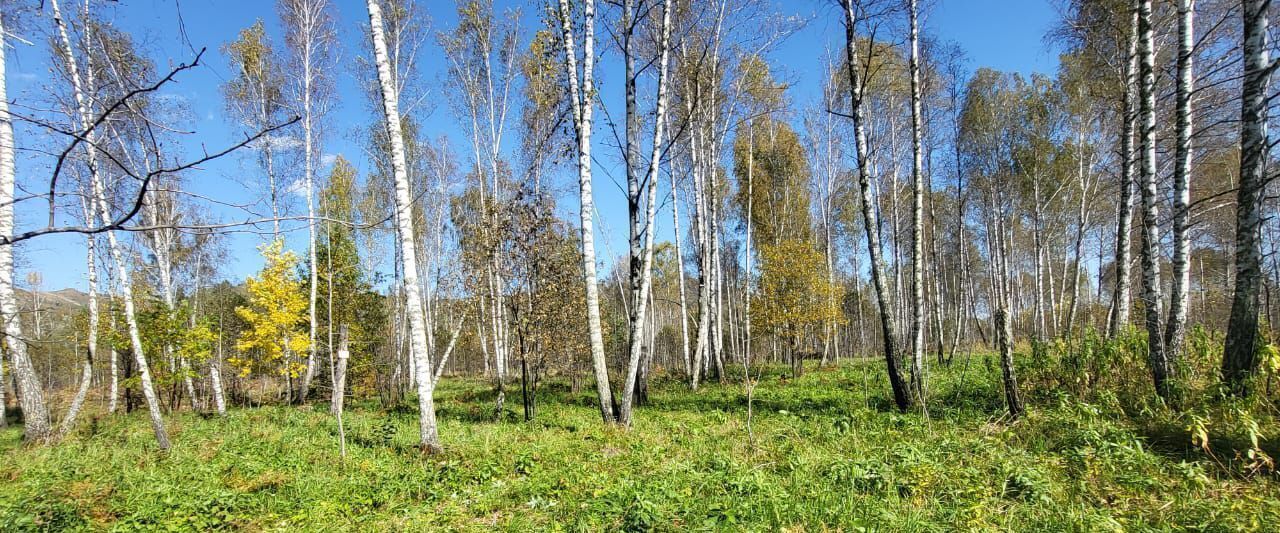земля р-н Майминский п Черемшанка ул Мира Соузгинское с пос фото 10
