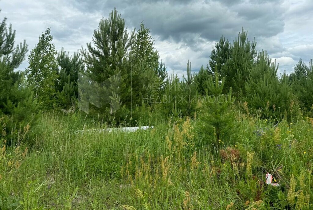 земля г Тюмень микрорайон Тюменский-3 фото 3