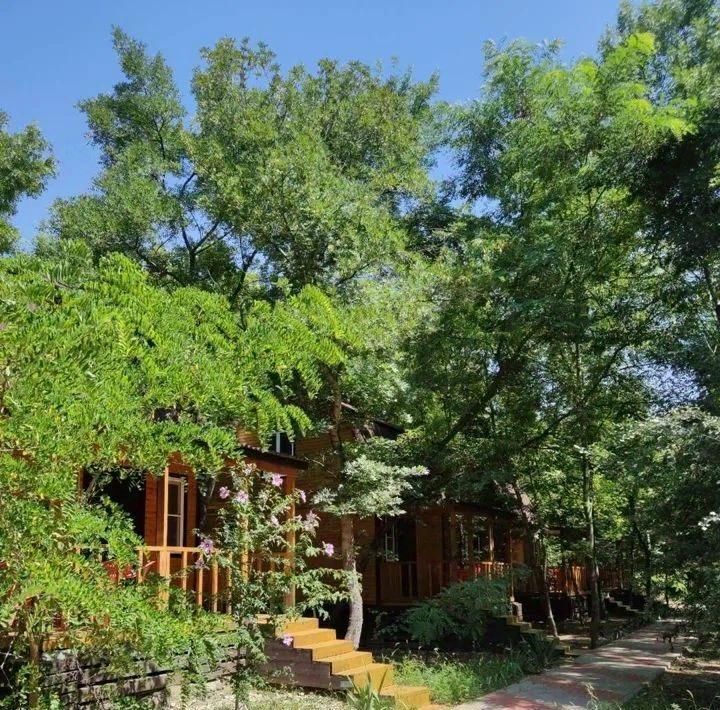 офис г Геленджик фото 10