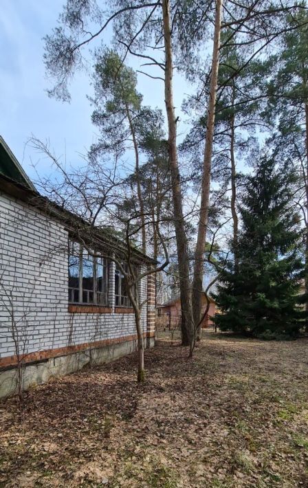 дом г Санкт-Петербург пр-кт Коннолахтинский 10к/10 Беговая фото 2