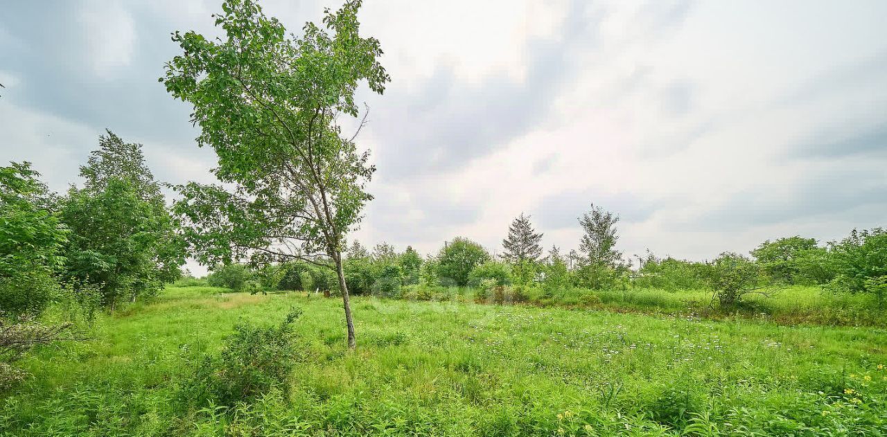 земля г Хабаровск р-н Железнодорожный снт Содружество ул Калиновая фото 4