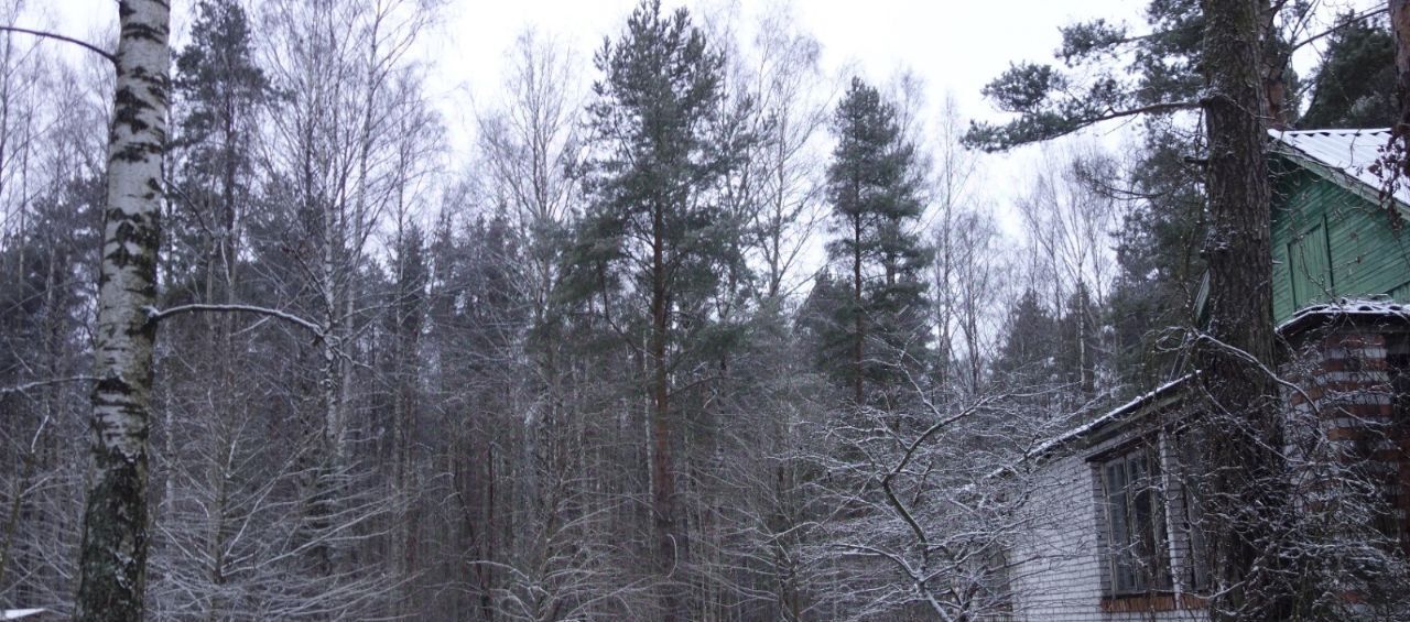 дом г Санкт-Петербург пр-кт Коннолахтинский 10к/10 Беговая фото 14