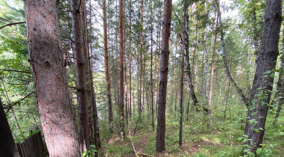 земля г Красноярск р-н Свердловский ул Торговая 31 фото 3