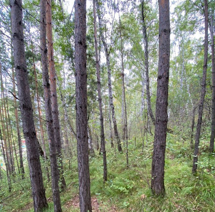 земля г Красноярск р-н Свердловский ул Торговая 31 фото 4