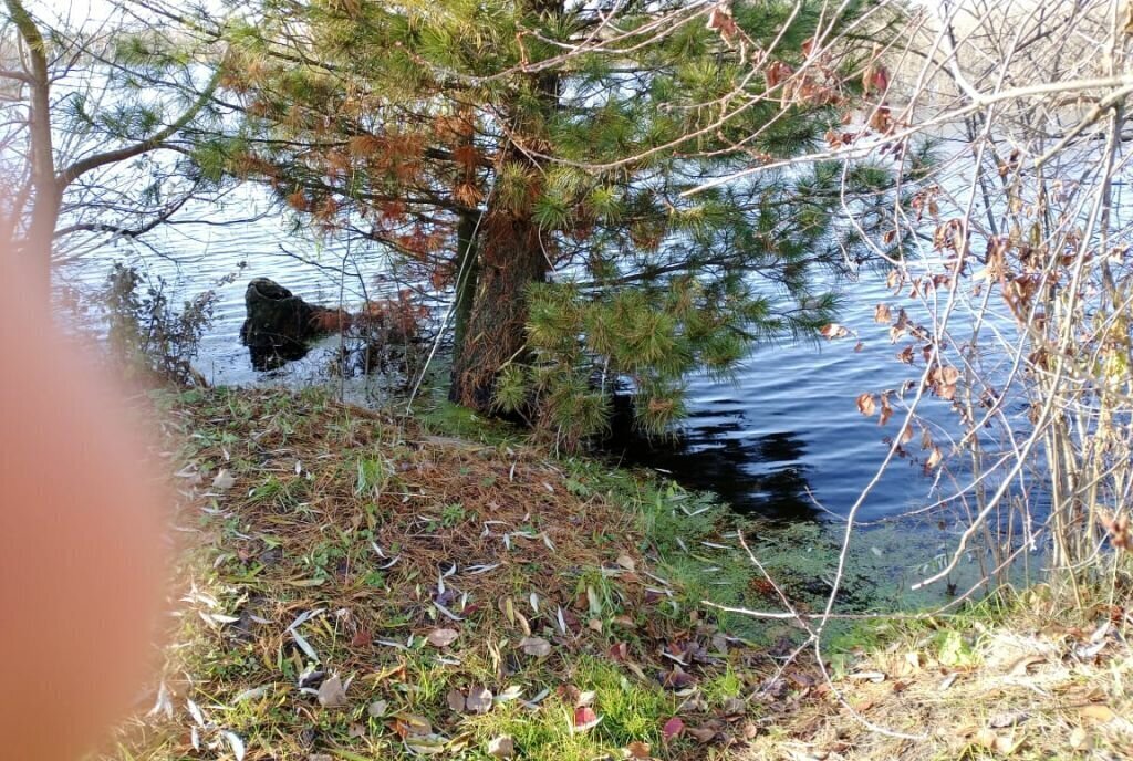дом г Нижний Новгород р-н Автозаводский Парк культуры Соцгород мкр Соцгород-1 ул Комсомольская фото 3