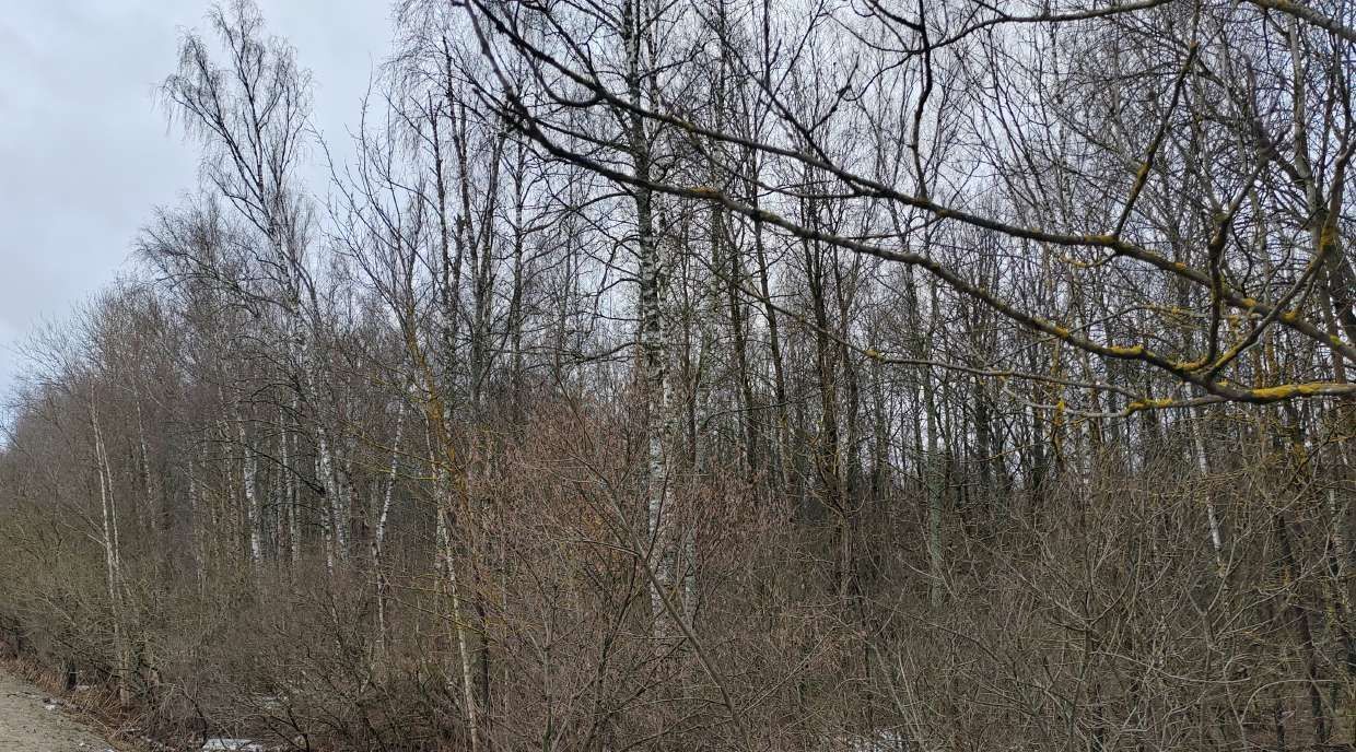 офис городской округ Чехов д Ваулово фото 1