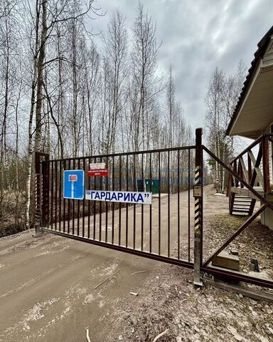 снт Гардарика Дорога жизни, 20 км, Рахьинское городское поселение, 4-я аллея, Рахья фото