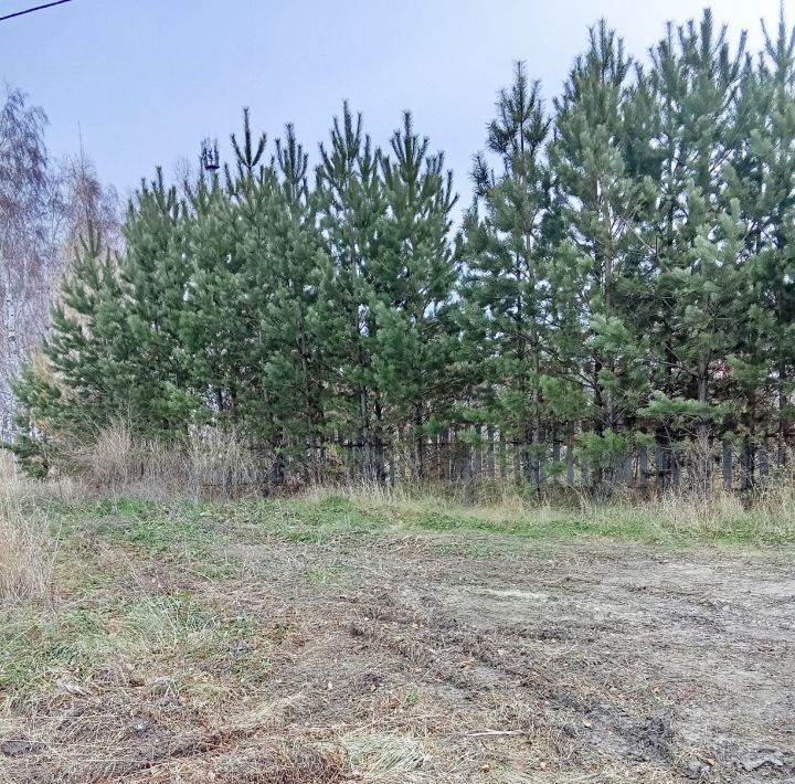 земля г Красноярск р-н Ленинский ул Даурская фото 3