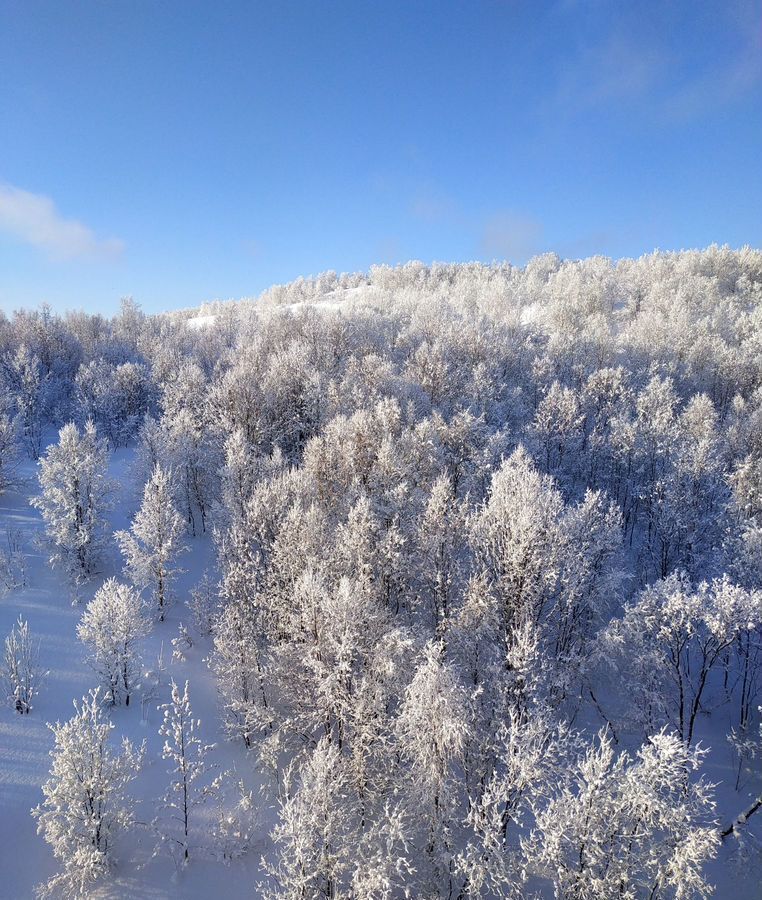 квартира г Мурманск р-н Первомайский пр-кт Кольский 91к/3 фото 19