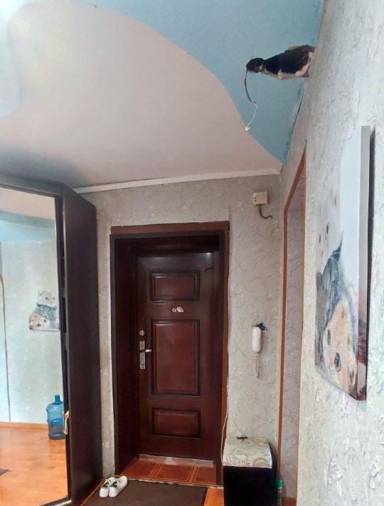 квартира г Березовский ул Мира 23 фото 9