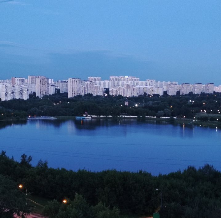 квартира г Москва метро Борисово ул Борисовские Пруды 17к/1 фото 12