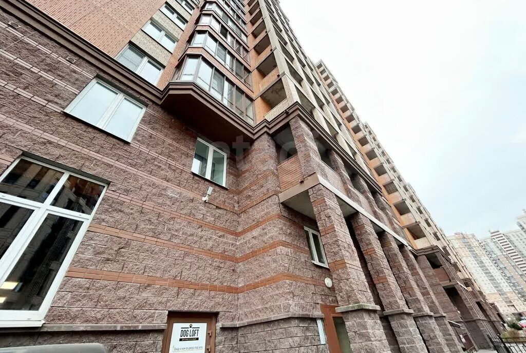 квартира г Санкт-Петербург метро Озерки ул Лиственная 18к/1 фото 26