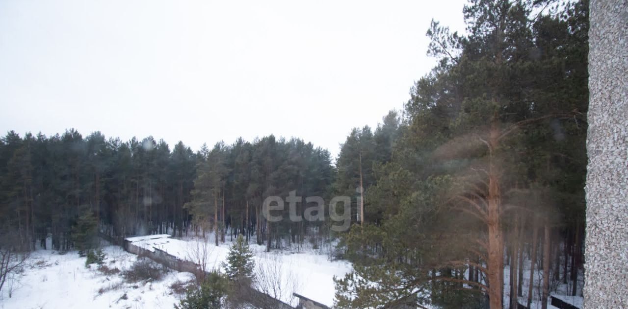 квартира г Нижний Тагил р-н Тагилстроевский ул Монтажников 78 фото 16