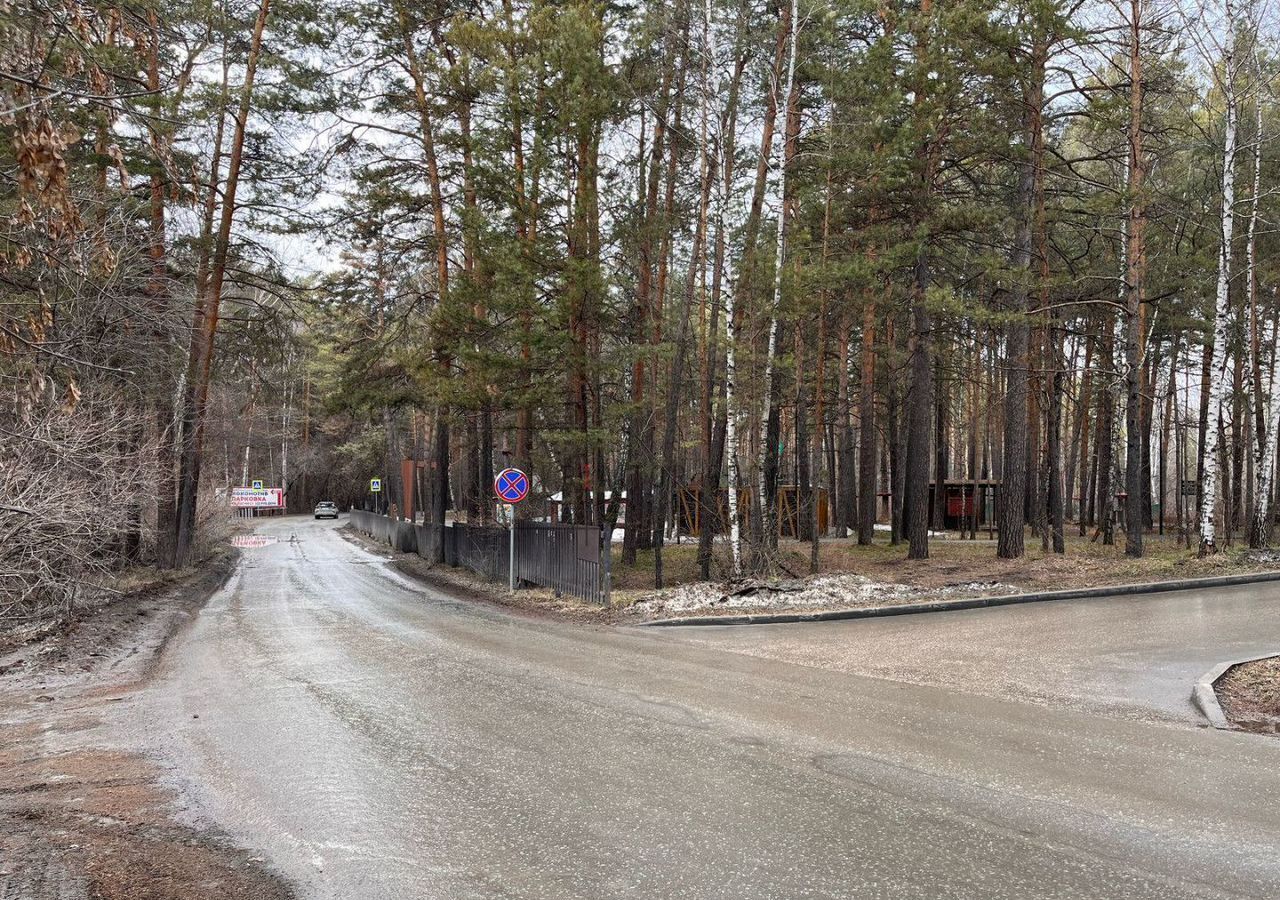 земля г Новосибирск р-н Заельцовский тер Заельцовский Парк 12 фото 24