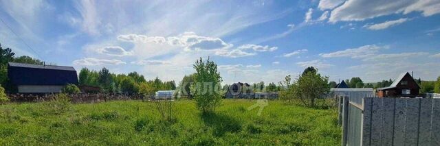 Березовский сельсовет, ул. Ягодная фото