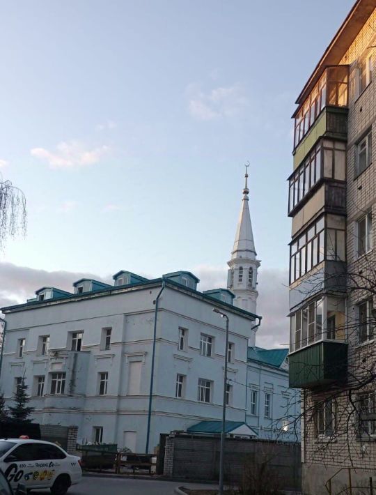 квартира г Казань метро Площадь Тукая ул Сары Садыковой 10 фото 3