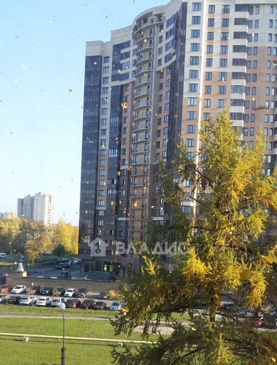 квартира г Санкт-Петербург метро Академическая ул Бутлерова 32 фото 23