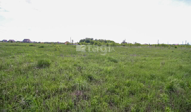 ул Парковая 2-я фото