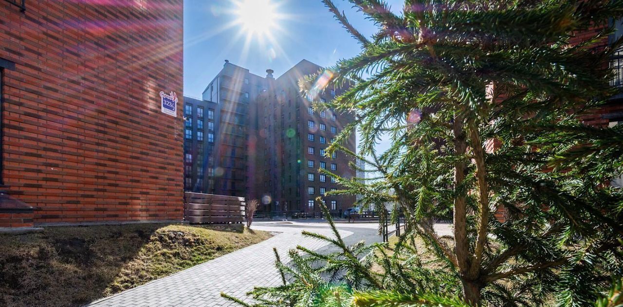 квартира г Новосибирск Заельцовская пр-кт Красный 323 фото 19