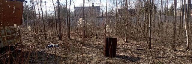 снт Рахья Рахьинское городское поселение фото