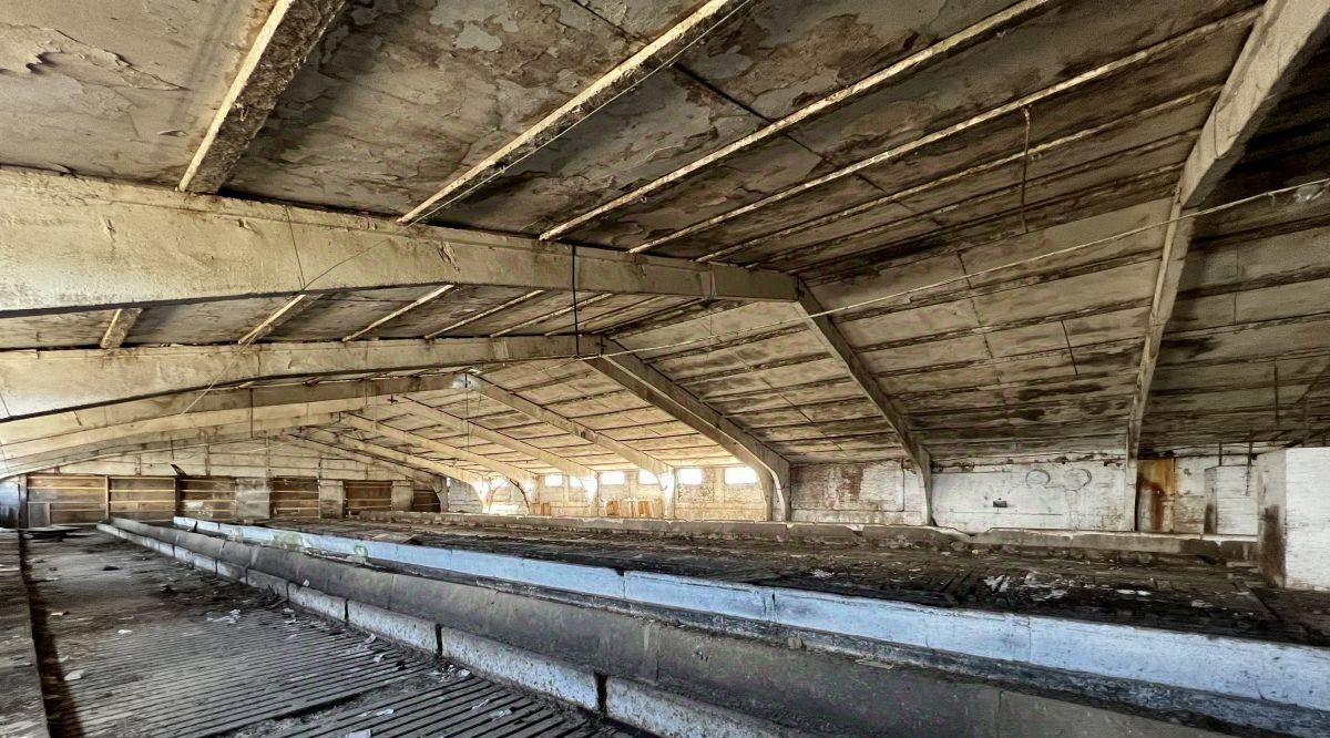 офис г Подольск д Малое Брянцево фото 3