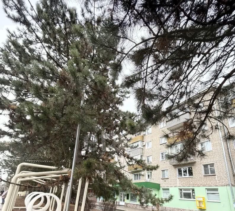 квартира р-н Алексеевский г Алексеевка пл Победы 79 фото 2