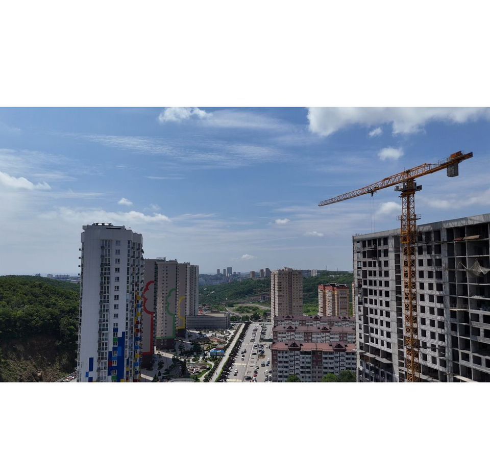 квартира г Владивосток р-н Ленинский ул Нейбута 137 ЖК GREENWOOD фото 4