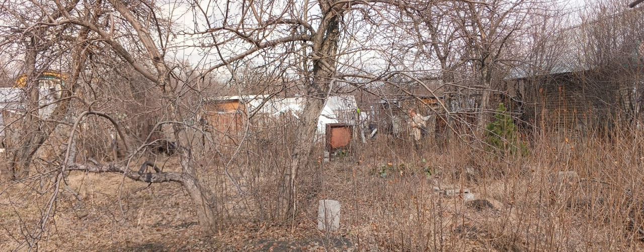 земля г Челябинск р-н Тракторозаводский садовое товарищество Дружба фото 2