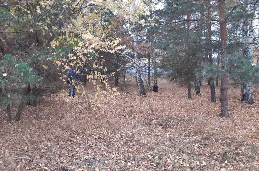 земля г Воронеж р-н Железнодорожный ул Абрикосовая фото 1