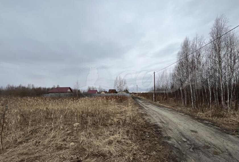 земля г Тюмень снт Светлое фото 3