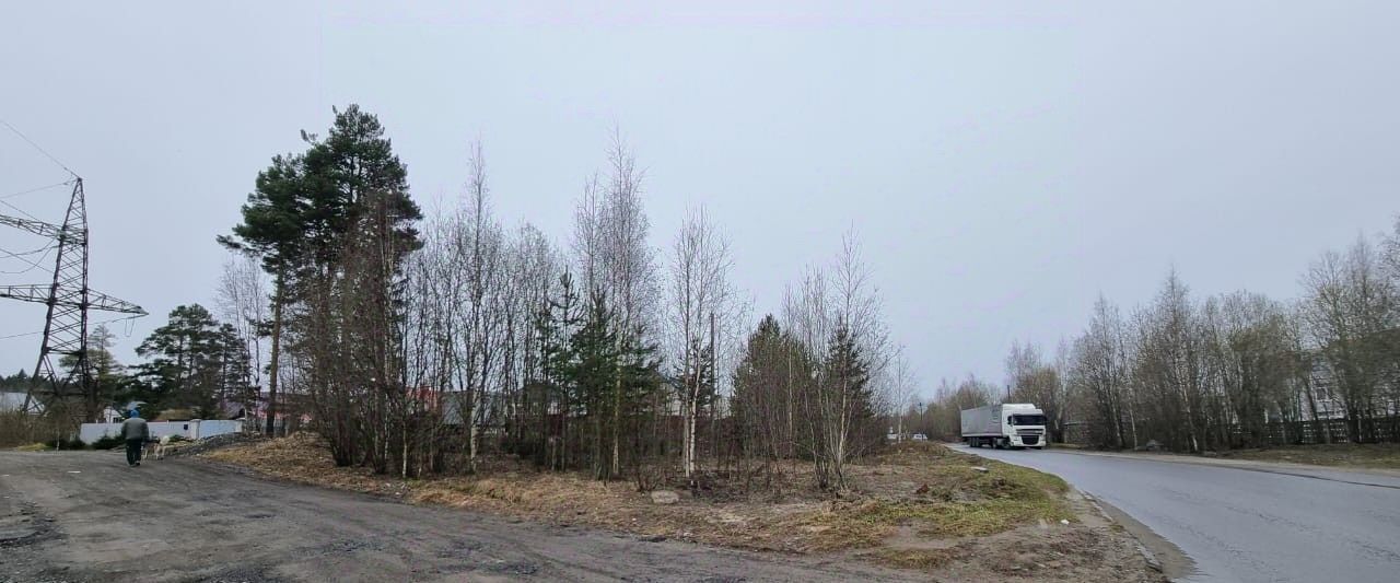 земля г Петрозаводск Древлянка ул Хейкконена фото 2