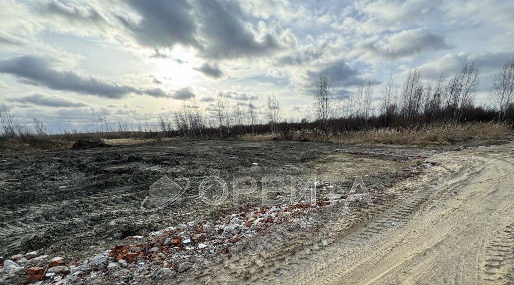 земля г Тюмень р-н Центральный снт Березняки фото 2