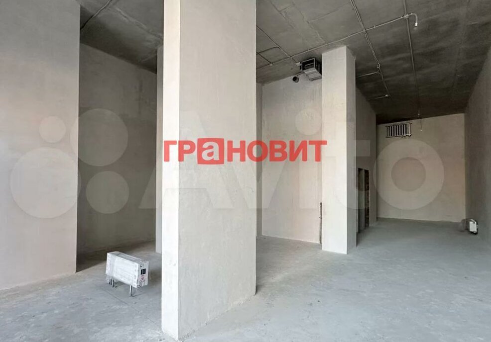 свободного назначения г Новосибирск метро Площадь Гарина-Михайловского р-н Железнодорожный ул Прибрежная 6 фото 4