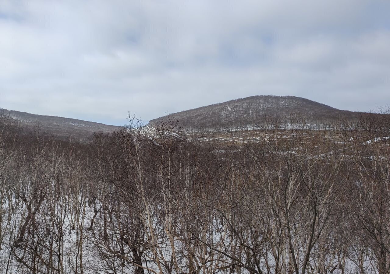 квартира р-н Елизовский г Елизово ул Уральская 10 Елизовское городское поселение фото 7