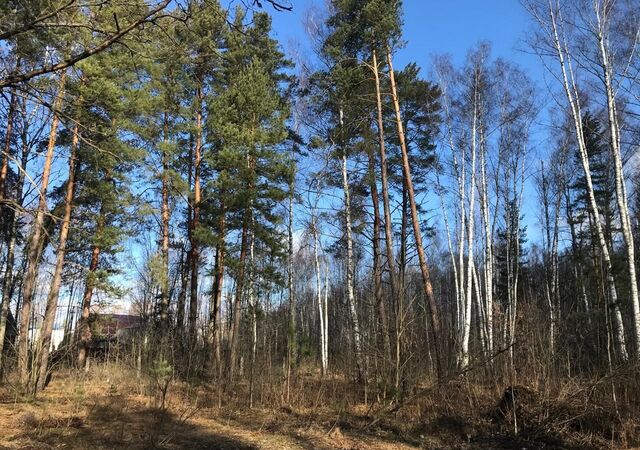 д Соколова Пустынь 85 км, Ступино, Каширское шоссе фото