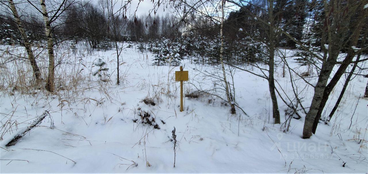 земля городской округ Одинцовский г Звенигород ш Луцинское фото 6