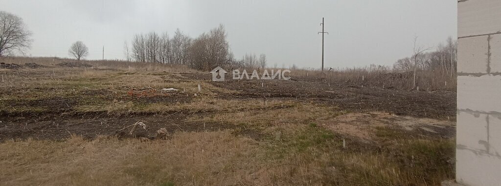 дом городской округ Зарайск д Журавна 34А фото 6